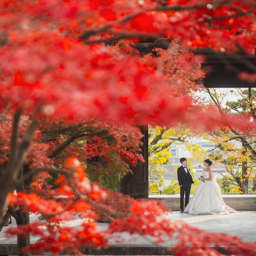 【期間限定】京都・紅葉ロケーション フォトプラン　